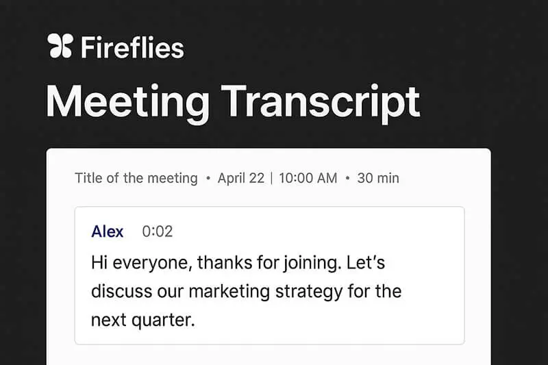 Fireflies meeting transcript UI with AI summary - webscocktail.com
